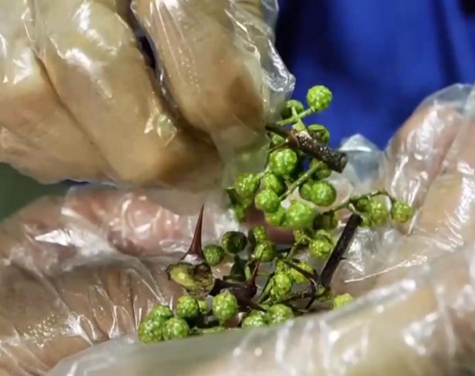 废旧物变废为宝加工,变废为宝致富商机