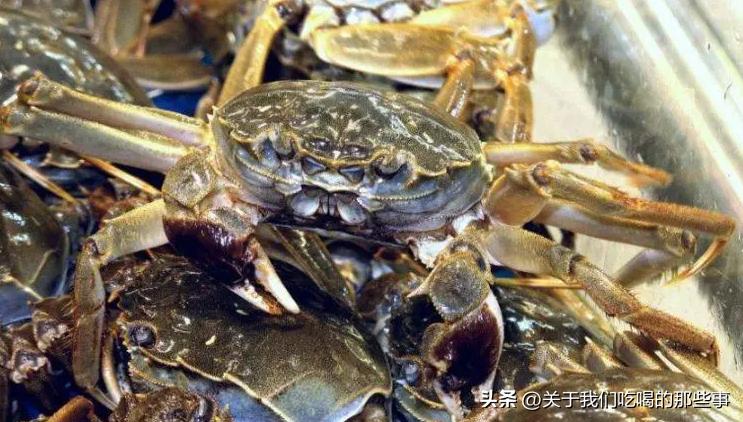 死螃蟹不能吃,没有异味的死螃蟹能吃吗