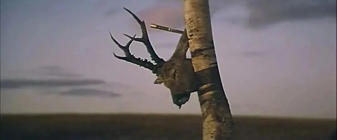 一代宗师退出队伍,一代名导林天师