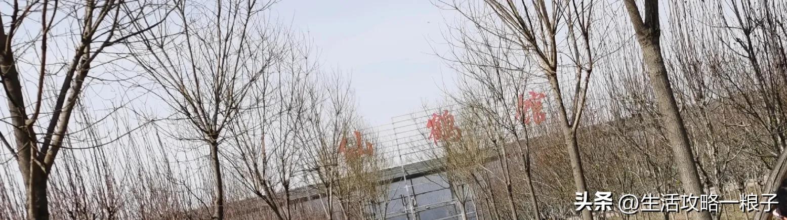 诸城动物园介绍多大面积,潍坊诸城动物园攻略