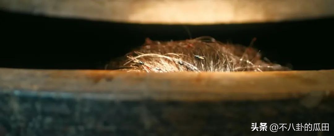 南大碎尸案和白银案是一个吗,南大碎尸案和白银案破了没