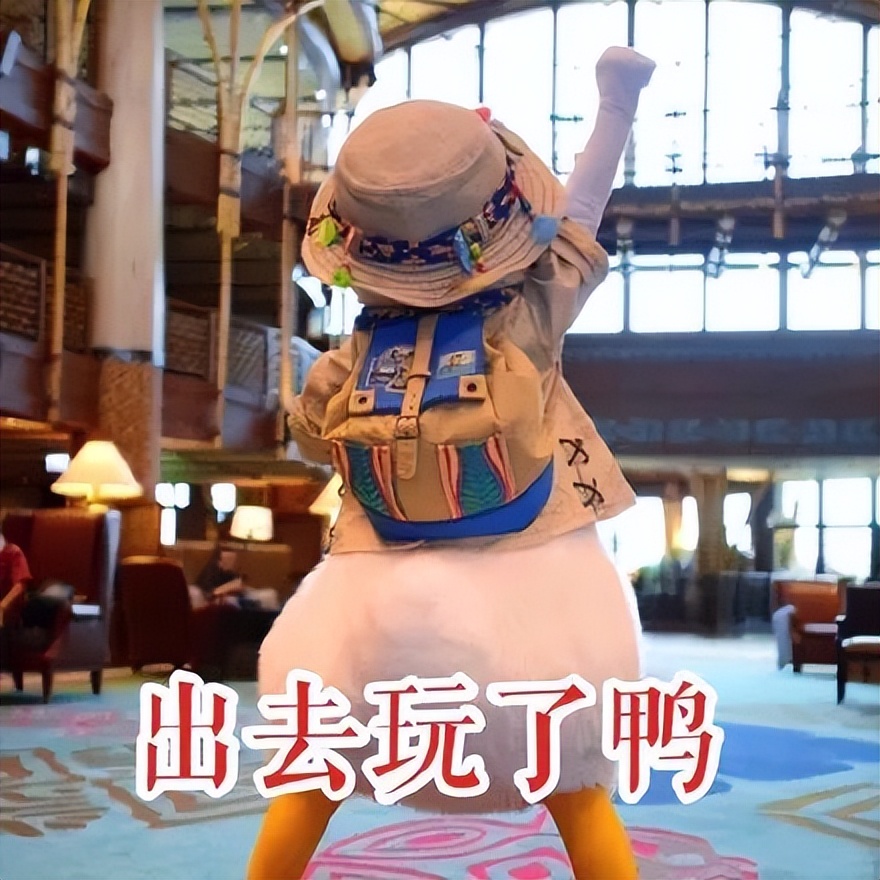 香港旅游攻略|厦门去香港保姆级攻略来啦，一文看懂！