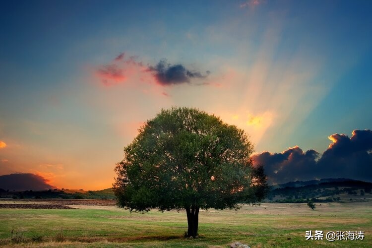 避免请求履行法定职责申请被行政机关当做*访信**处理