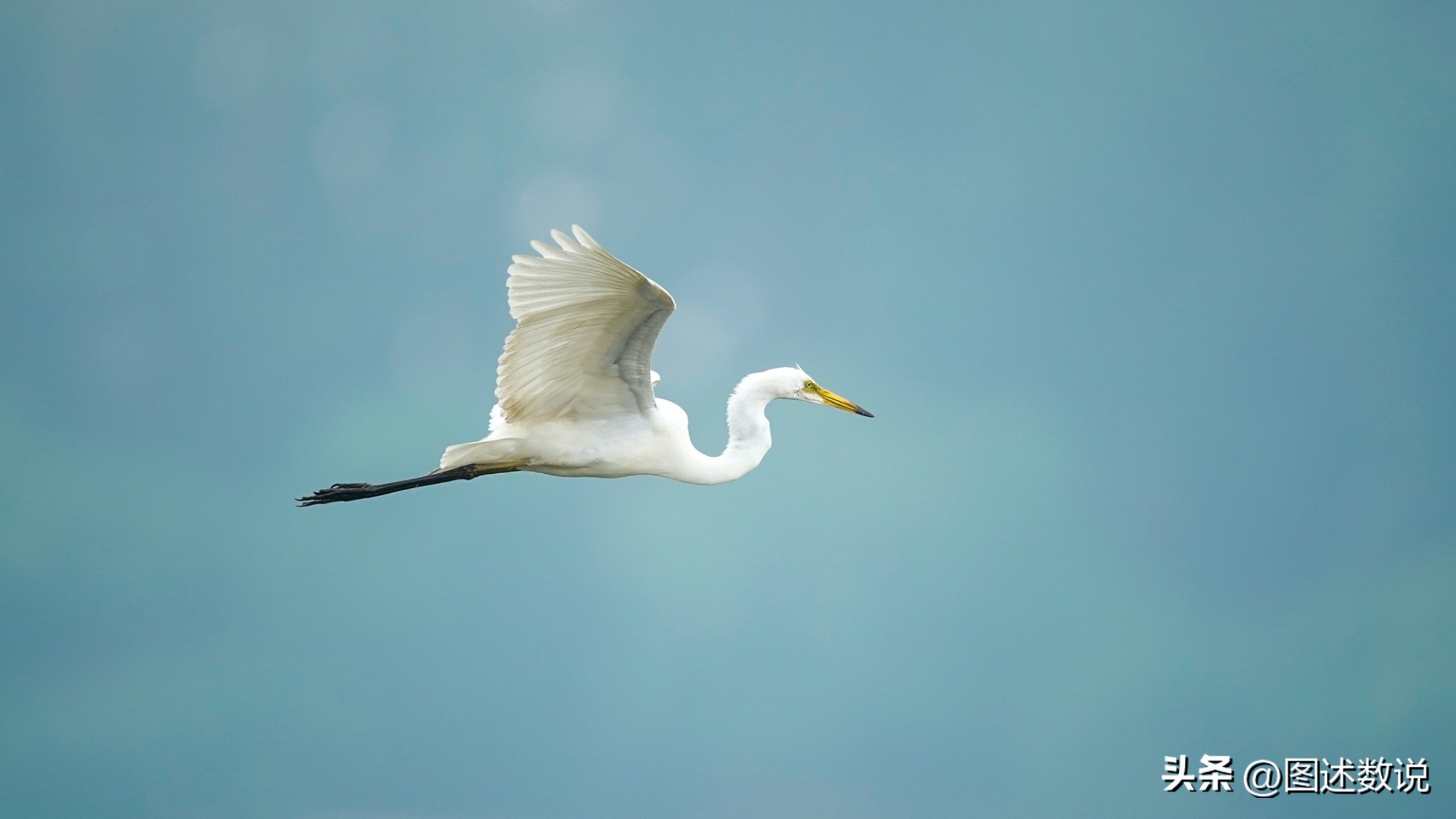 迈阿密梅西之城,迈阿密梅西适合踢哪个位置