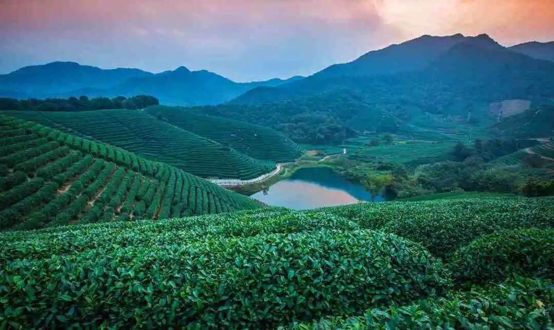 浙江世界最佳旅游乡村是,4村入选世界最佳旅游乡村