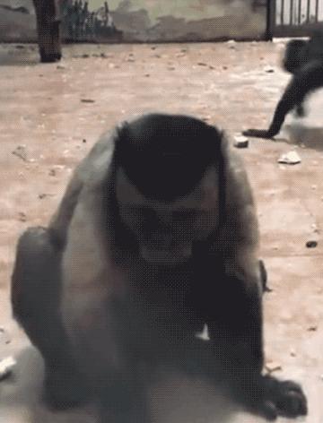 坐高铁遇到旁边老阿姨脱鞋,坐高铁遇到旁边阿姨脱鞋