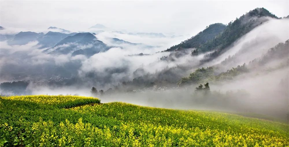 黄山歙县石潭百家摄影点,歙县石潭村最佳拍摄点