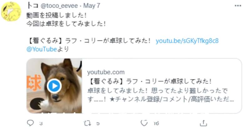 日本男子花200万变狗设计图,日本男子花200万整容蠢狗