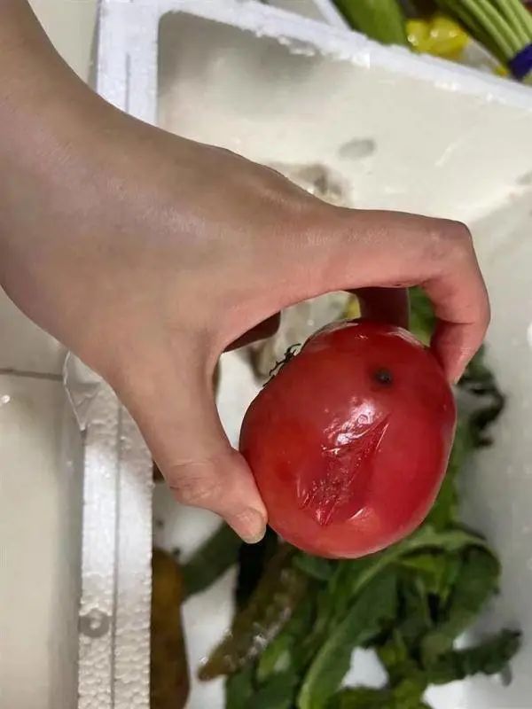 上海抗疫想胜利，必须干掉“沪弄鬼”