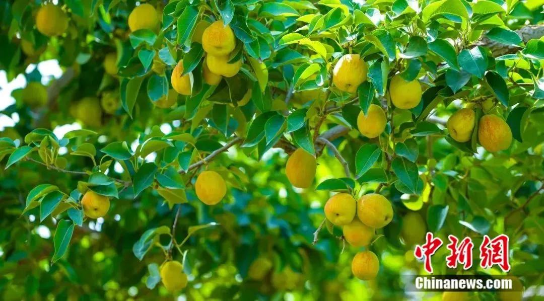 网上申请信用卡安全吗,怎么安全办理信用卡