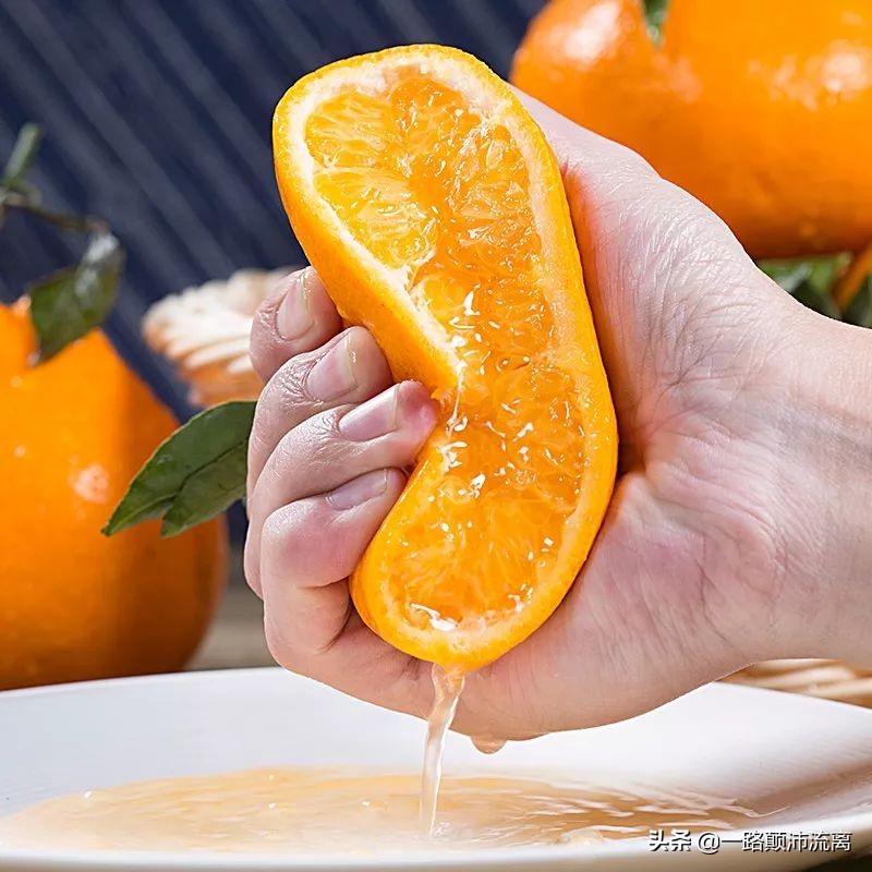 最火的橘子是什么橘子,柑橘排名第一的橘子