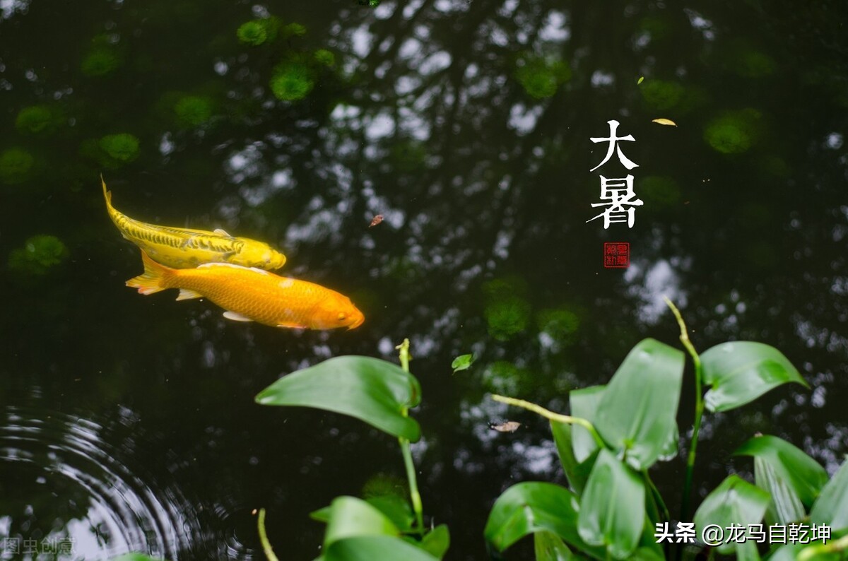 关于大暑节气的古诗赏析,描写大暑时节的古诗词有什么