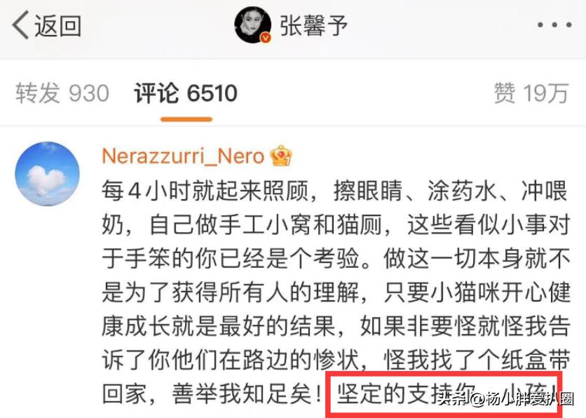 张馨予和老公十指紧扣秀恩爱,张馨予晒老公