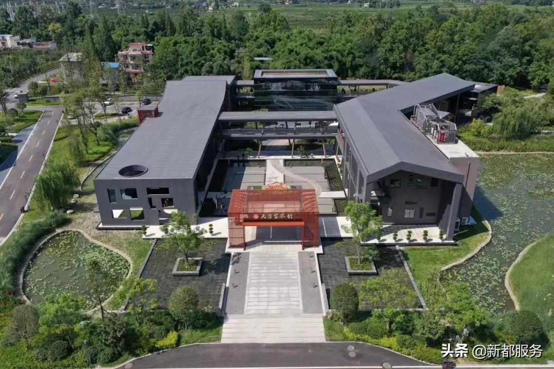 新都发展最好的地方,新都什么路练车比较合适