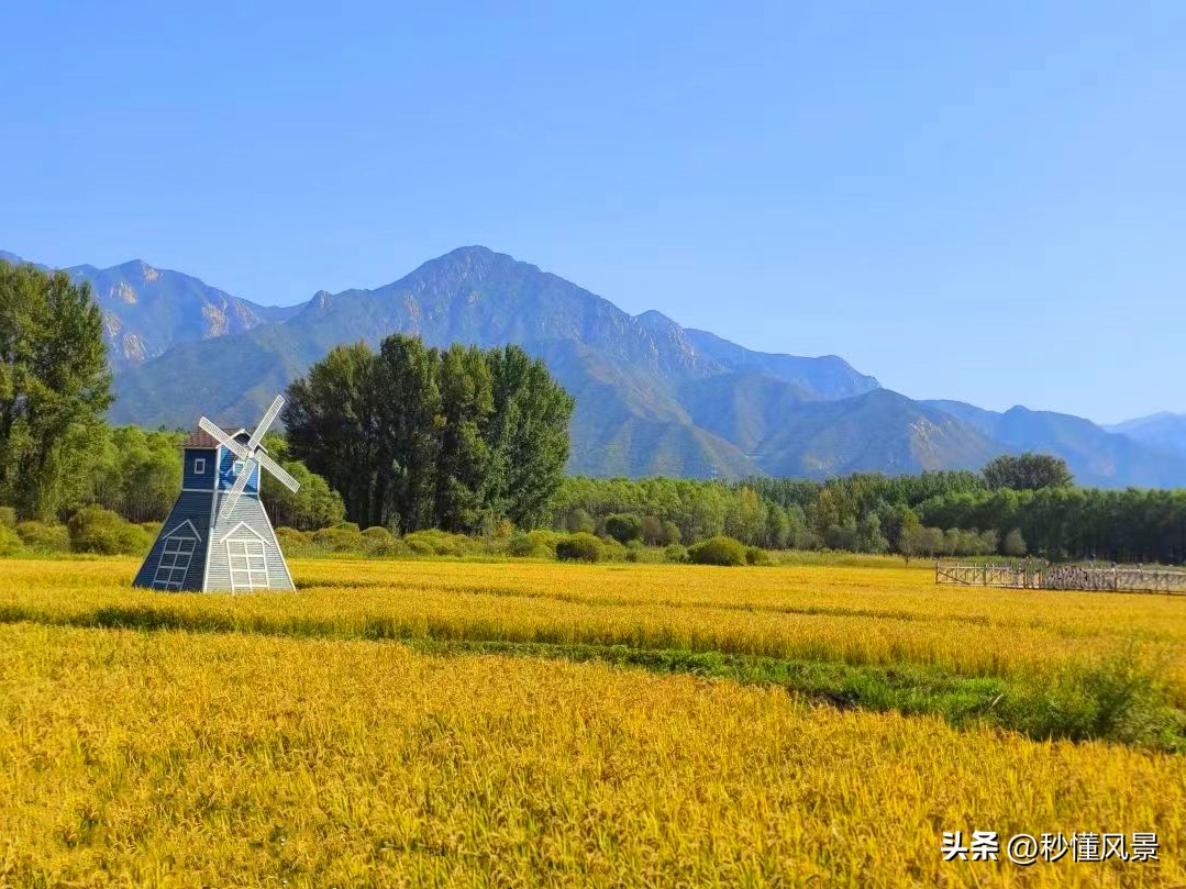 北京可以搭帐篷的公园,北京西山国家森林公园搭帐篷