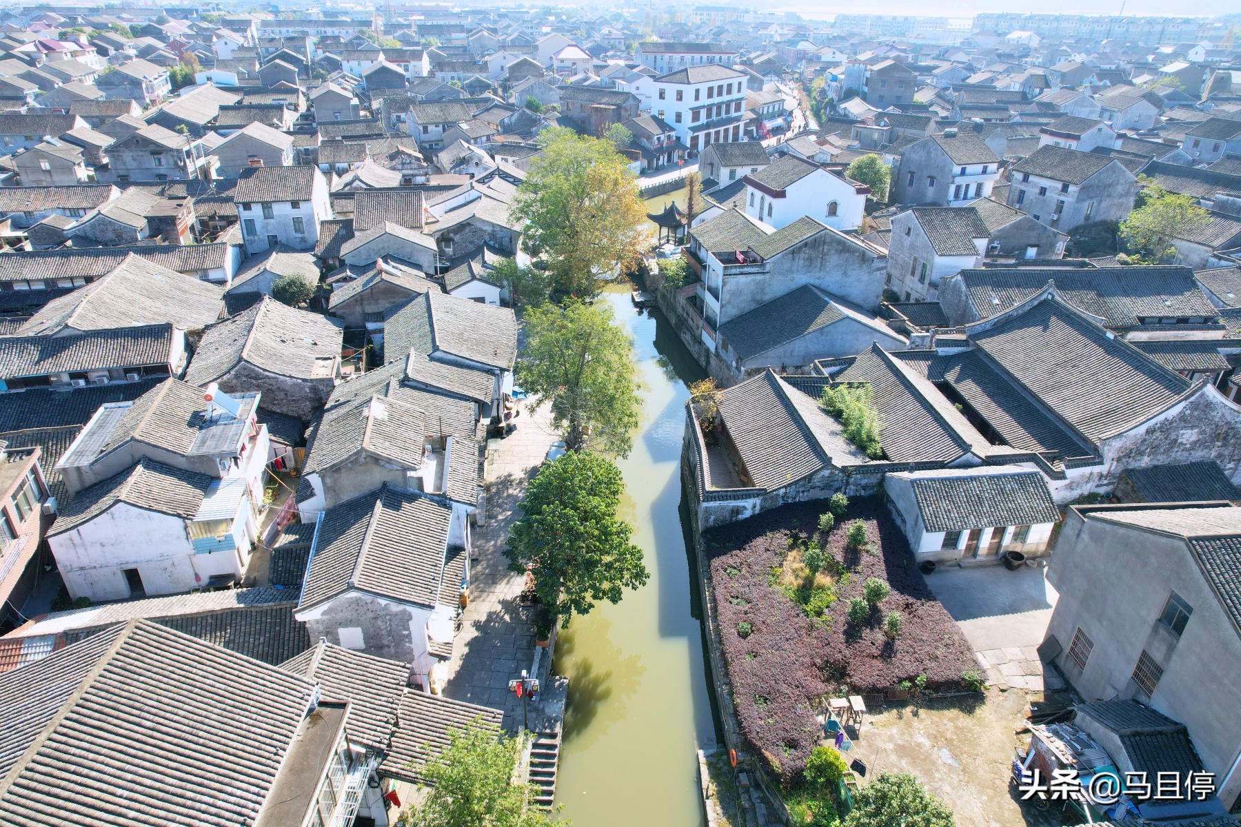 浙江慈溪鸣鹤古镇周边景点介绍,浙江鸣鹤古镇和鹤鸣古镇哪个好玩