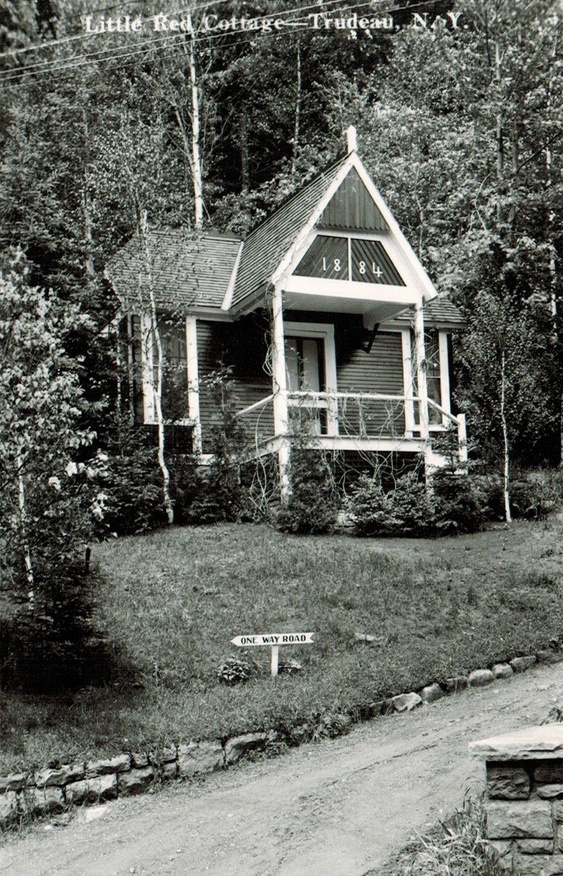 总是安慰常常帮助偶尔治愈原文,常常在安慰偶尔在治愈是什么意思