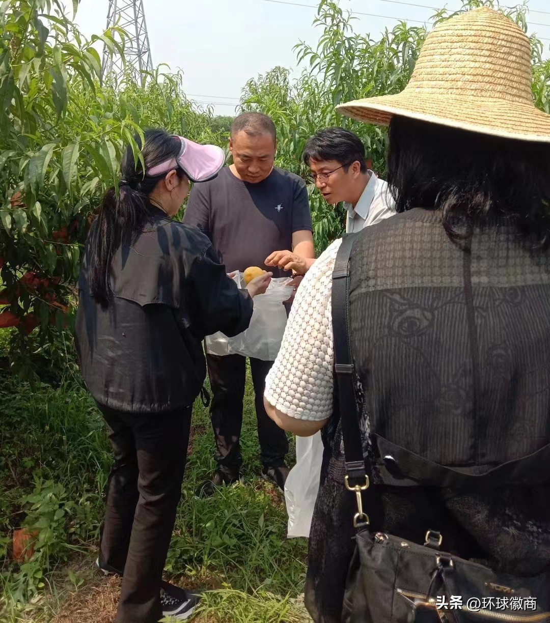 环球徽商万里行走进安徽蒙城桃花源共话发展
