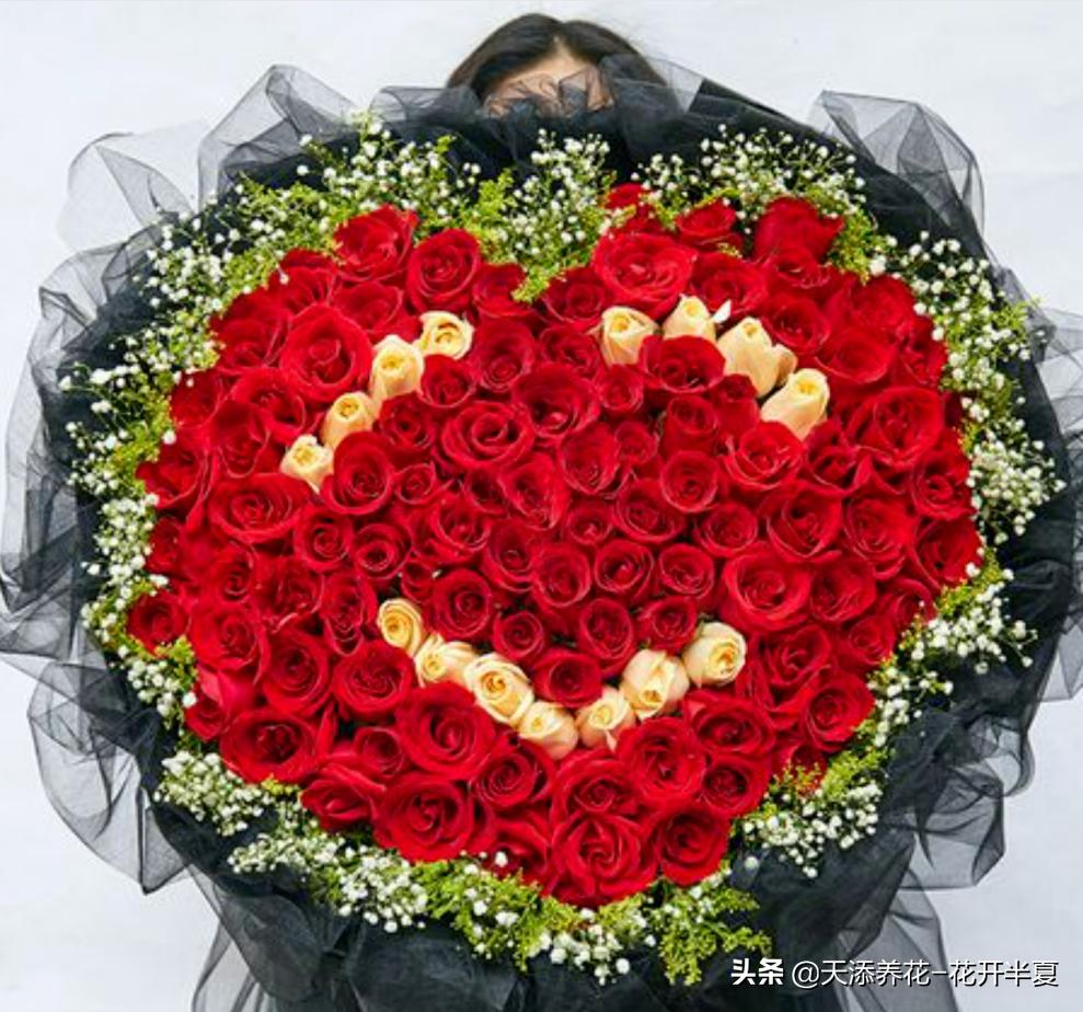 玫瑰花颜色代表的含义及朵数,送三种颜色的玫瑰花代表什么意思