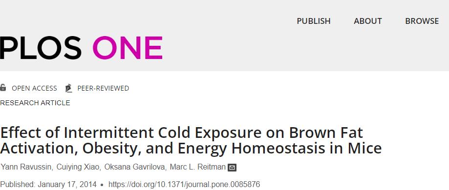 睡前怎么提高新陈代谢减肥,如何睡觉减肥燃脂