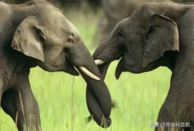 *拍偷**的夫妻生活照，羞羞的