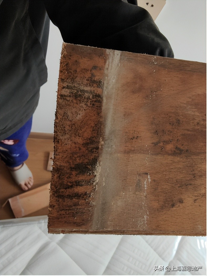 上海新房积分最新形势,上海楼市新房积分变化