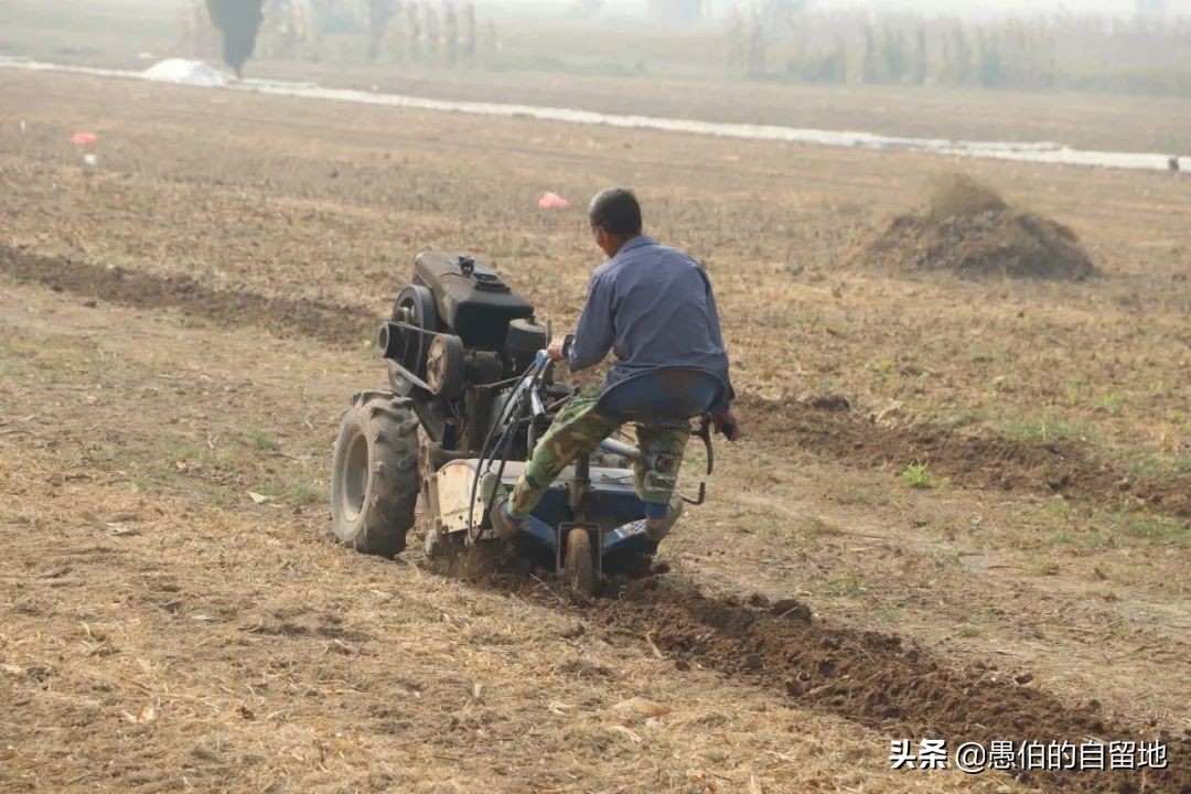 窝囊的父亲张正直原文,窝囊的父亲完整版