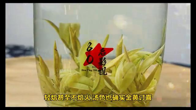 涓轰粈涔堝枬鑼朵細鑳冪柤,鏅氫笂鍠濊尪瀵艰嚧鑳冪柤