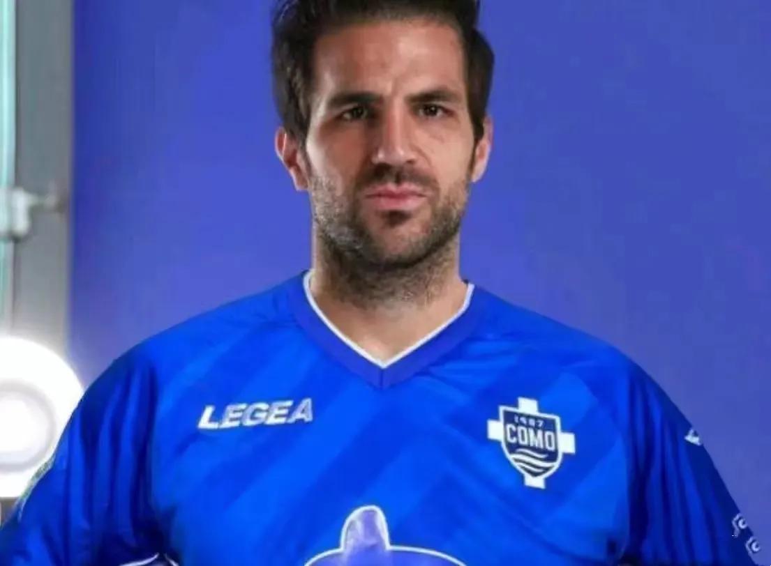 塞斯克法布雷加斯的师傅,法布雷加斯世界杯集锦