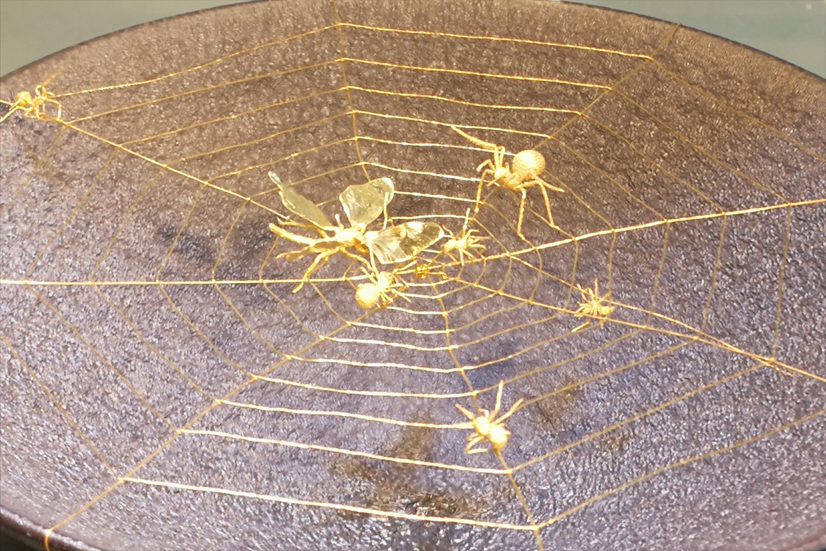 与三对夫妻的旅行奇遇记：你想收获什么，就去播种什么