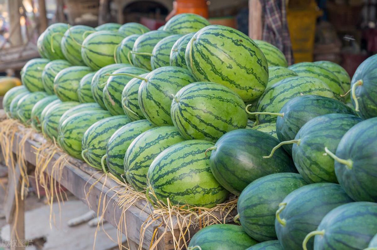 各种西瓜品种怎么选择好吃,西瓜分类和品种有哪些区别