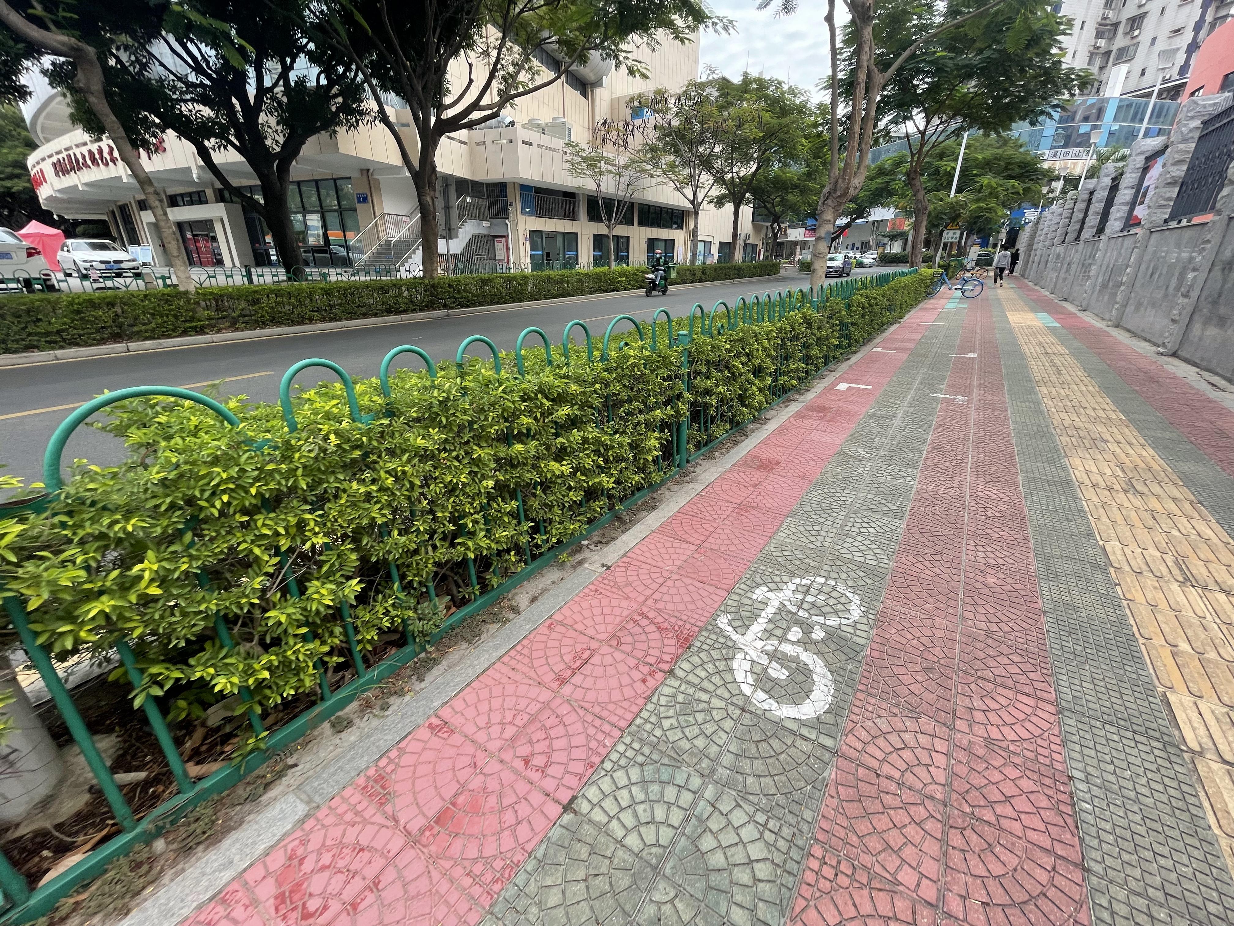 厦门莲花中学为什么叫莲花中学,厦门市莲花中学简介