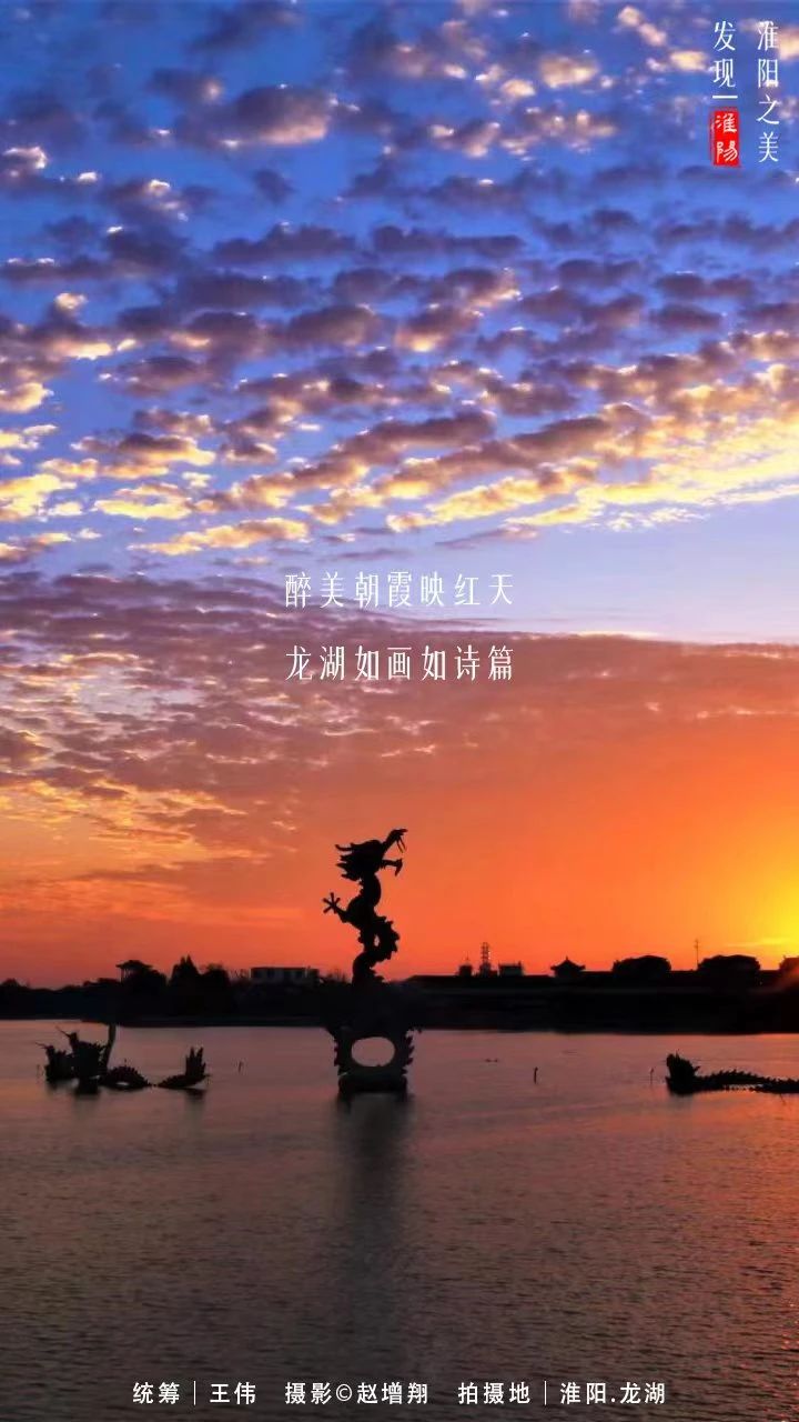 2021年周口淮阳荷花节,周口淮阳荷花节位置