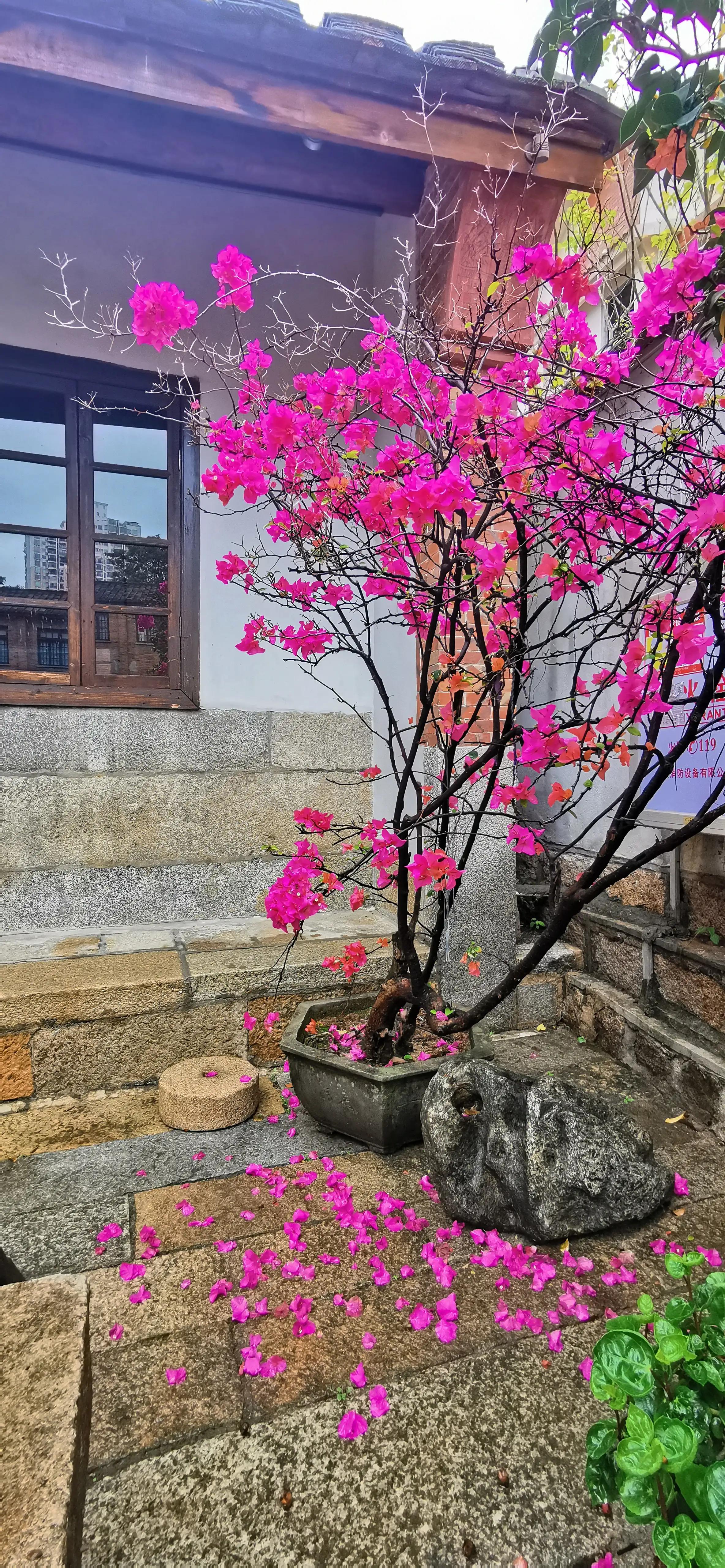 两人自驾装备,两人一车带什么装备