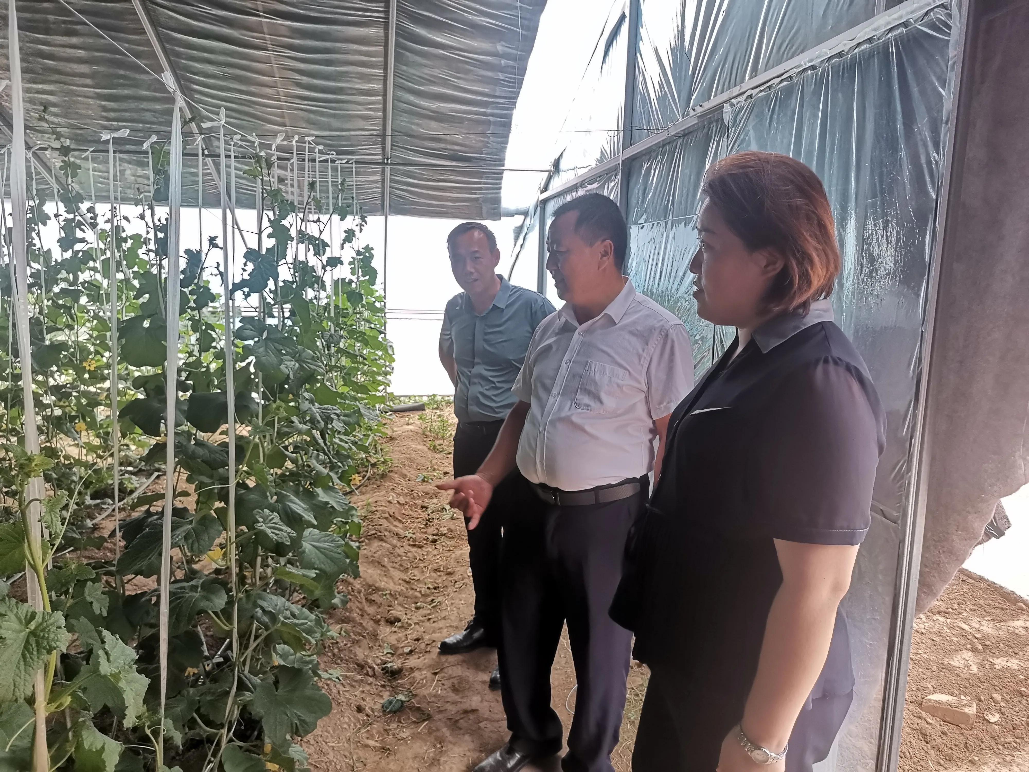 中国华青集团投资公司,华青集团重庆