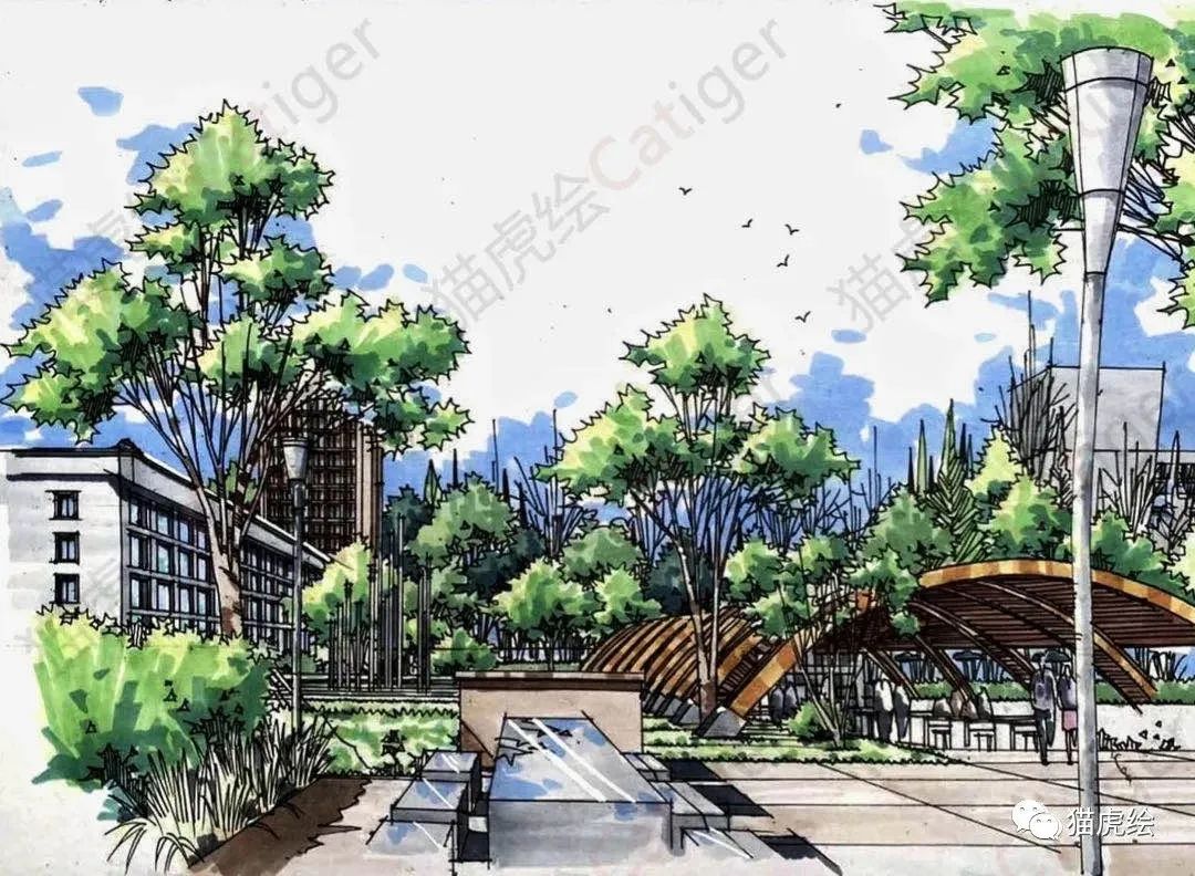 2022猫虎绘暑假手绘班招生简章「线上+线下」