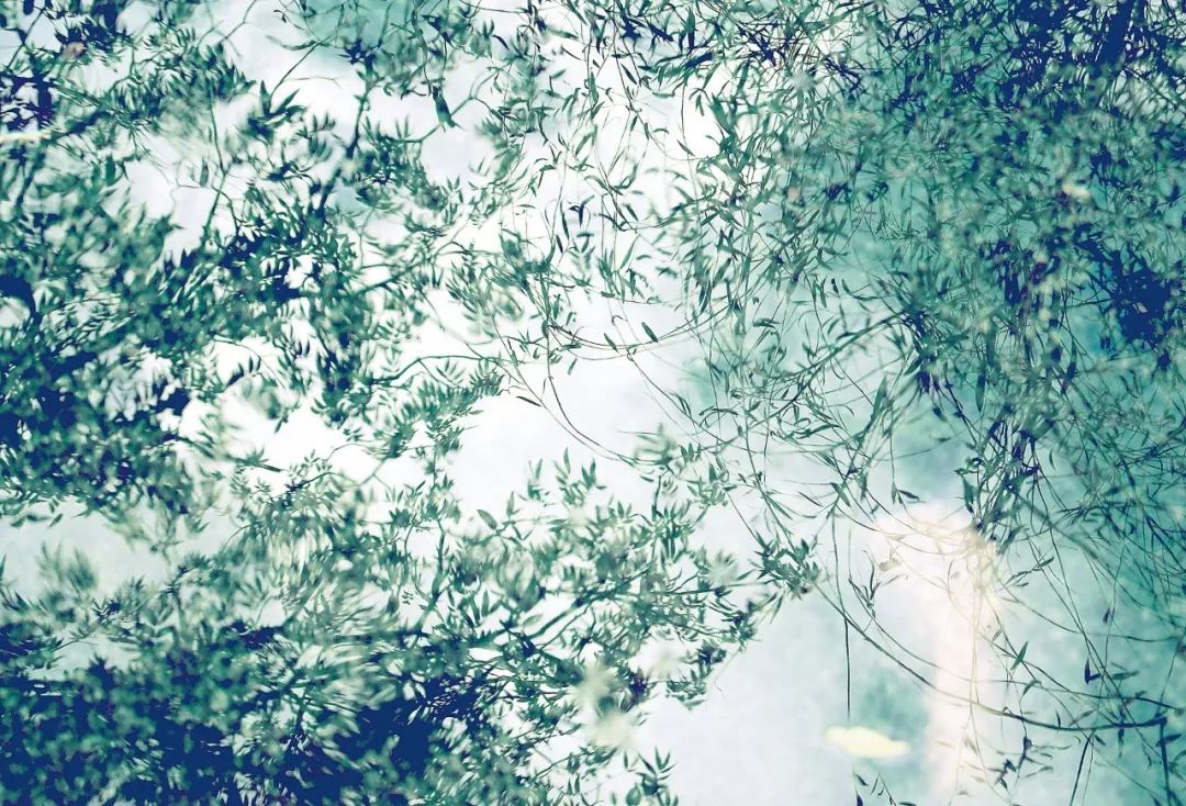 有深度的唯美诗词,十首诗词走过半生才读懂其中真意