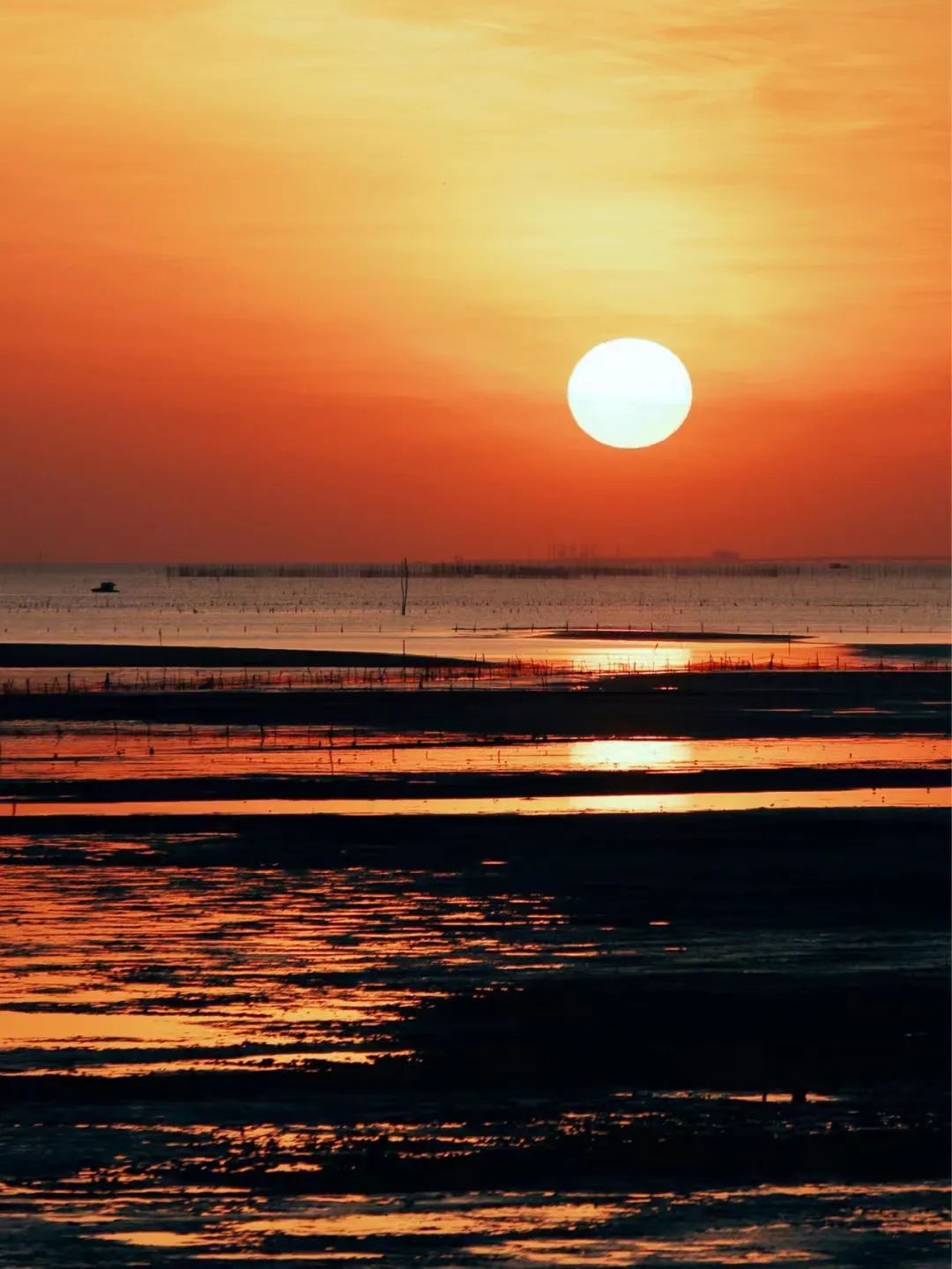 回到早睡早起的日子,回老家朝九晚五