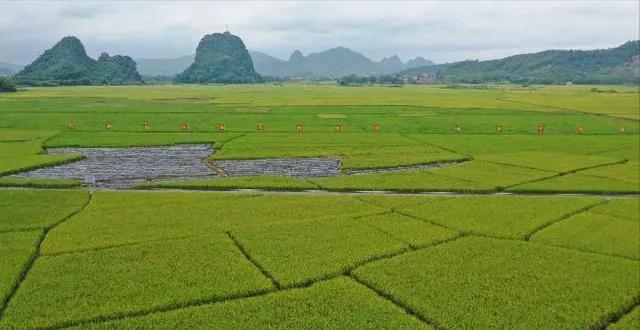 “广西第一贪”的特殊喜好，将发生性关系的女人们照片锁进密码箱