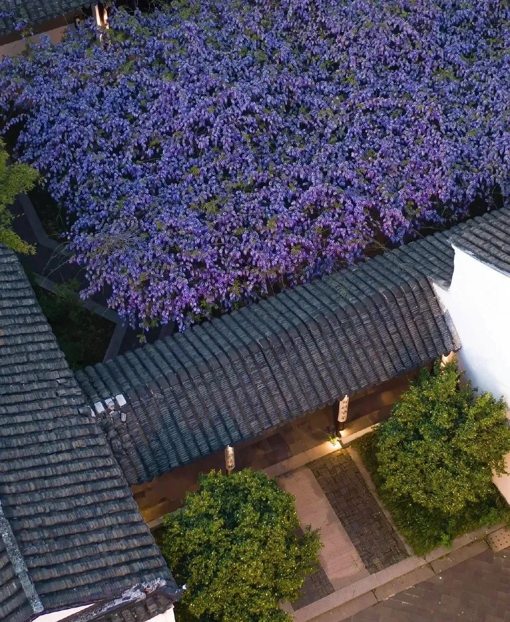 最美的十座园林,中国十大最美园林之留园