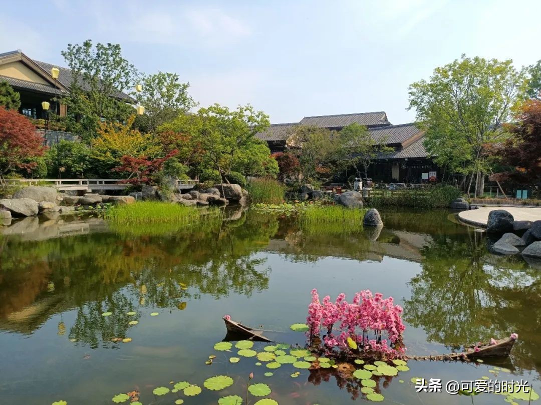 青岛旅行推荐的酒店宾馆,青岛有哪些值得推荐的酒店
