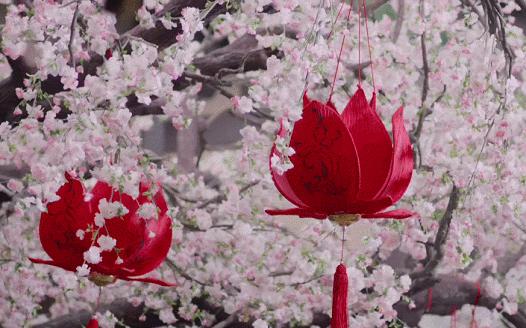 所有遇见皆是天意完整版,所有遇见皆是天意歌曲