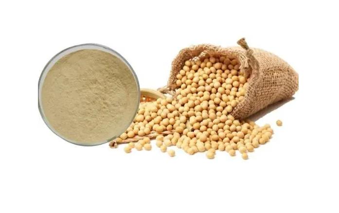 制药原料展展商菏泽荟仁生物|大豆异黄酮的应用与作用有哪些?