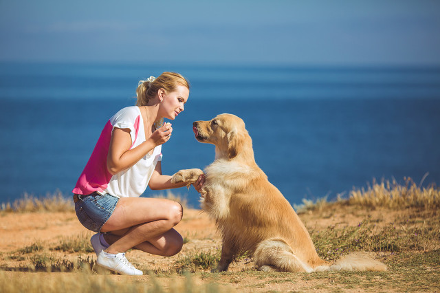 善良的人总是被父母伤害,善良的人总被算计