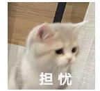 透明质酸凝胶能擦外阴瘙痒吗,外阴瘙痒有异味可以用什么药擦