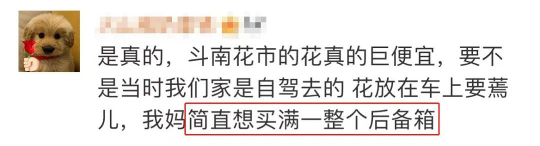 云南人考上清华北大,云南逆袭崛起