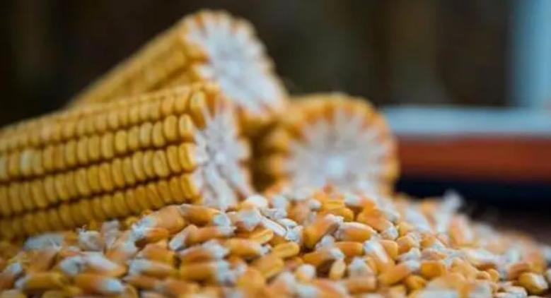 雪上加霜,美国债务尚且还没捋清楚,我国买家三周内取消多笔大单