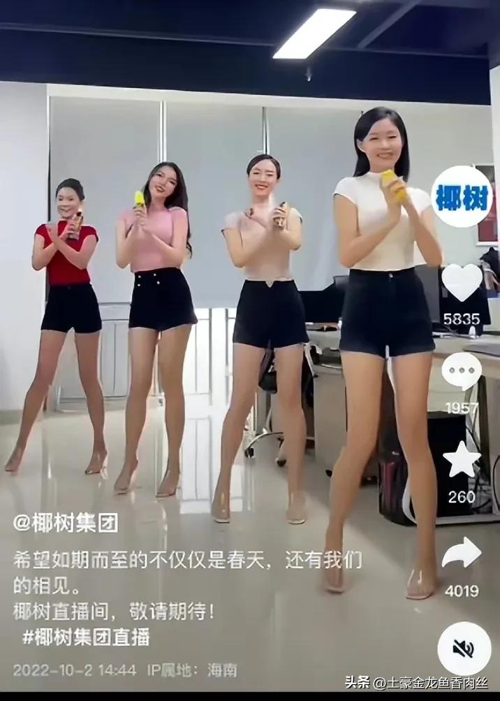 椰树直播风格引发争议,椰树再次直播