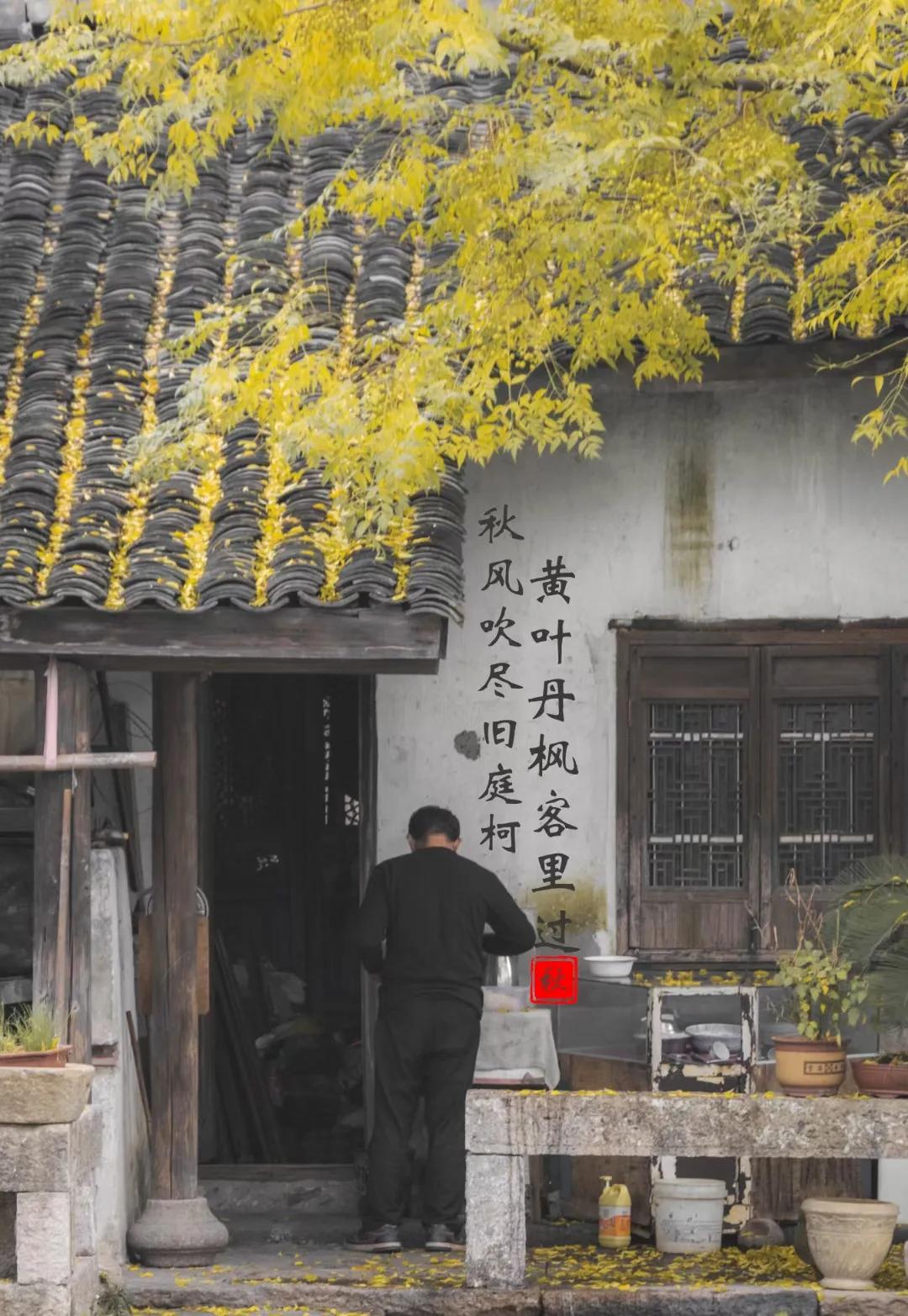 安昌古镇情怀,安昌古镇真实感受