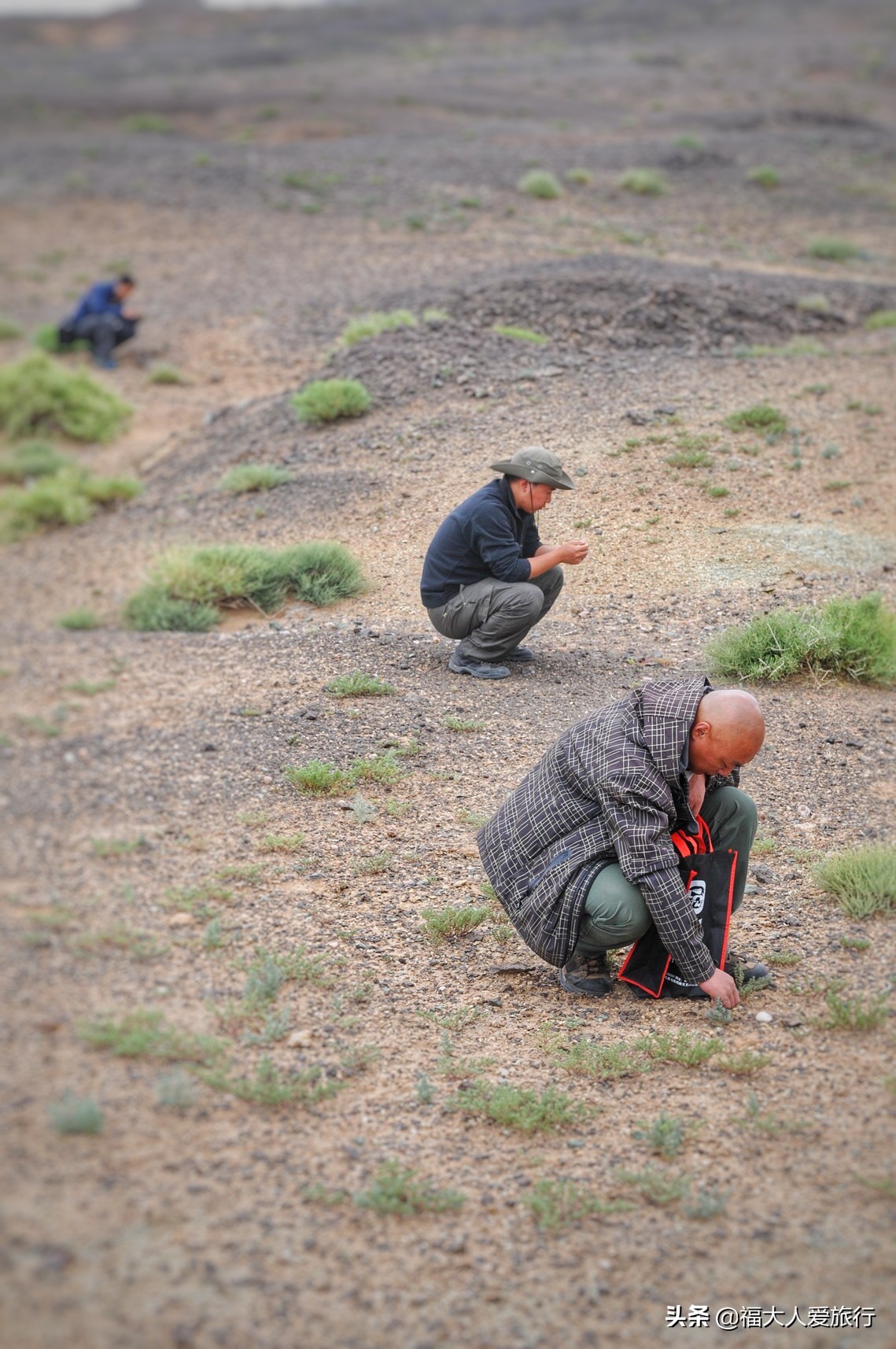 阿拉善遍地玛瑙石,阿拉善玛瑙原石大量出售